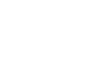 Global Strategic Partner