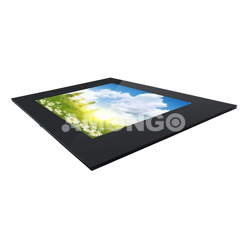 high brightness lcd monitor