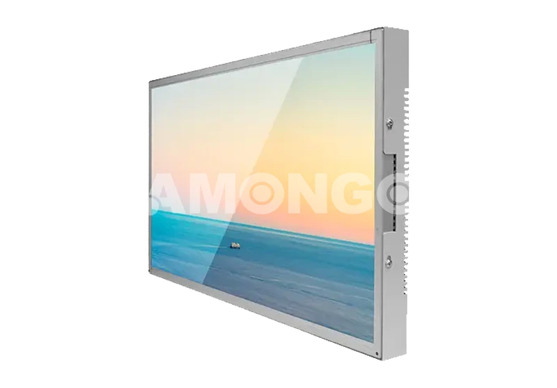 Open Frame Module