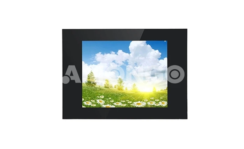 AMG-17OPGD01T5 High Brightness Display