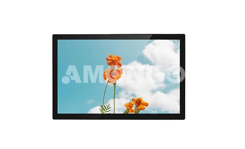 AMG-21IPRV01T1 High Brightness Display