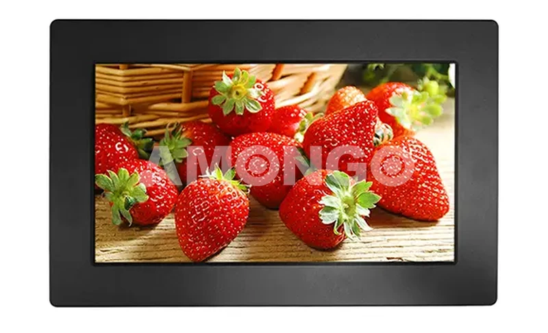18.5 Inch Panel Mount LCD Monitor