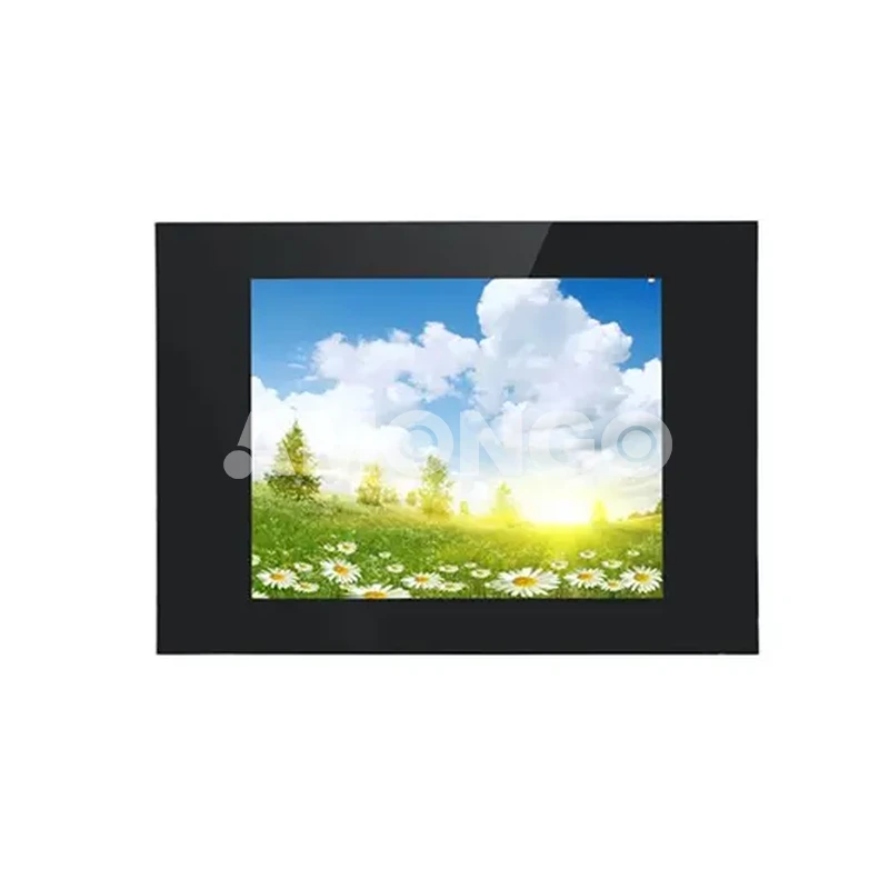 amg 17opgd01t5 high brightness display