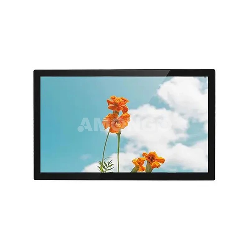 amg 21iprv01t1 high brightness display